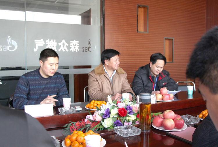 林口县政府与九游·体育-九游(中国)一站式服务官方网站燃气项目洽谈.png